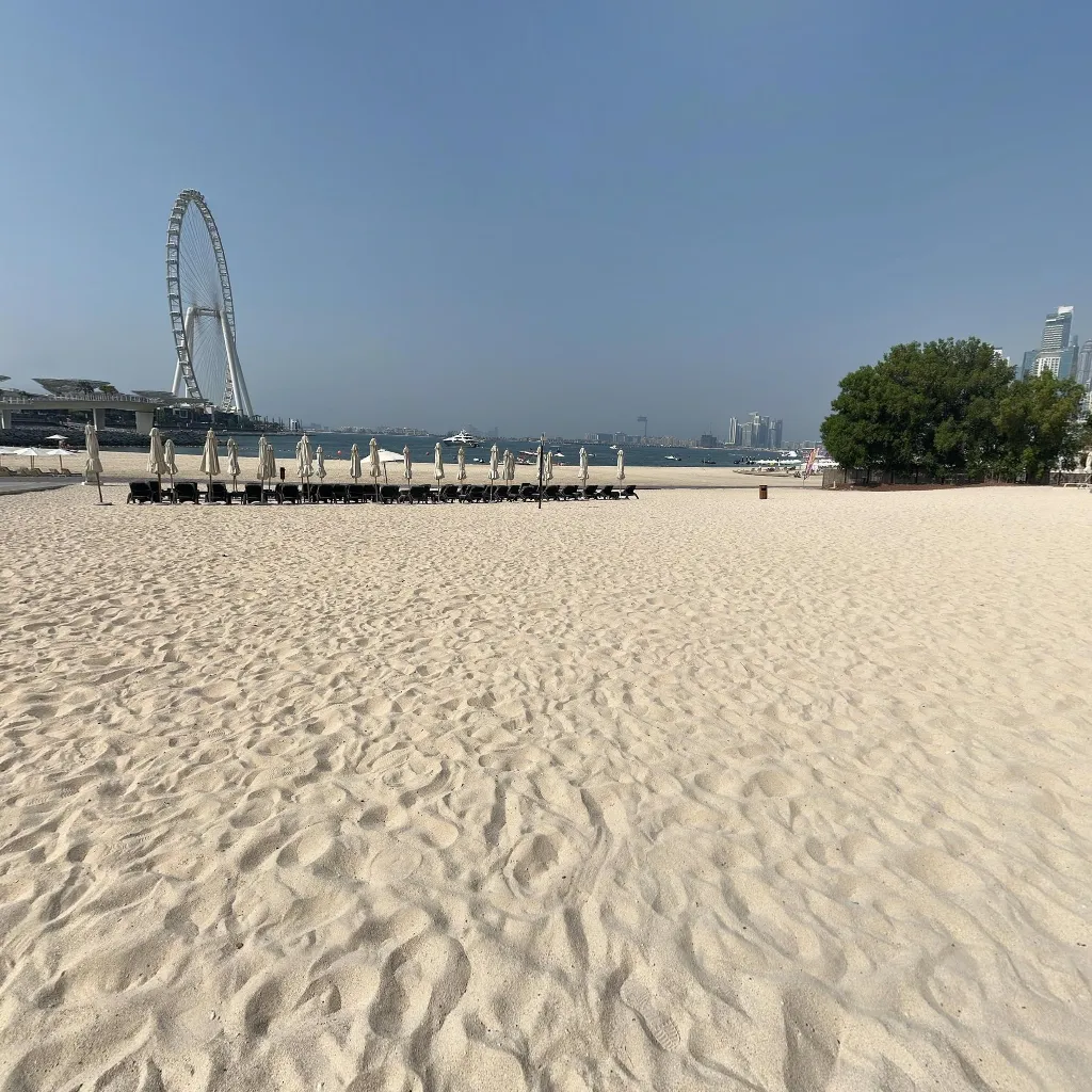 Immersive virtual tours of popular locations